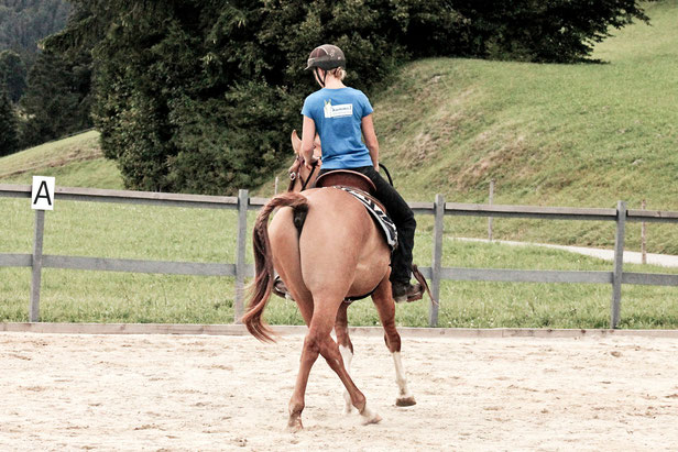 Christina Hummel Pferdetraining Tirol Schwaz Unterland mobiler Unterricht Reitlehrer Pferdetrainer fair ruhig individuell Bodenarbeit Reiten