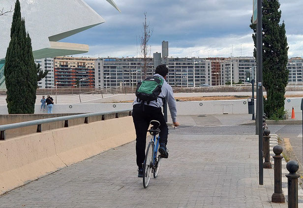 Este H.P. estuvo a punto de enviarme a urgencias. Se saltó el semáforo en rojo cerca de la Ciudad de las Artes y Ciencias de Valencia e iba a una velocidad por la acera tal, que si pilla a alguien lo mata "a mí no me pillo por pelos".