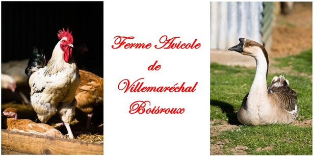 Ferme Avicole de Villemaréchal