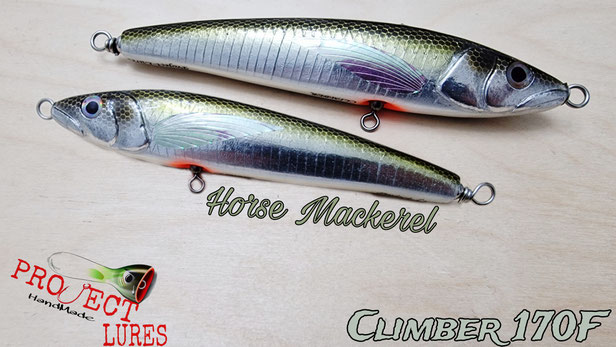 La nuova versione Rattler 100 che amplia la gamma già presente Rattler 70 e 90 #projectlures #tunafishing #customlures #handmadelures #stickbait #topwater #lures 
