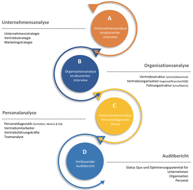 Vertriebsaudit Vertriebs Performance Analyse