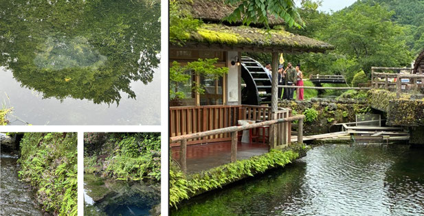 忍野八海《平賀ファイナンシャルサービシズ(株)》