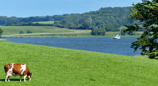Gemeinde Brodersby-Goltoft im Naturpark Schlei