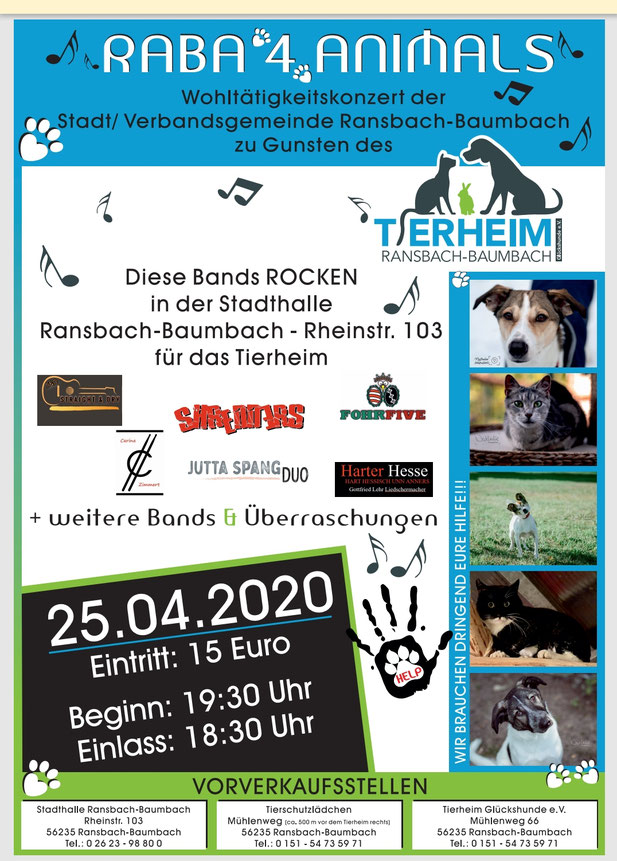 aktuelles tierheim ransbach baumbach gluckshunde e v