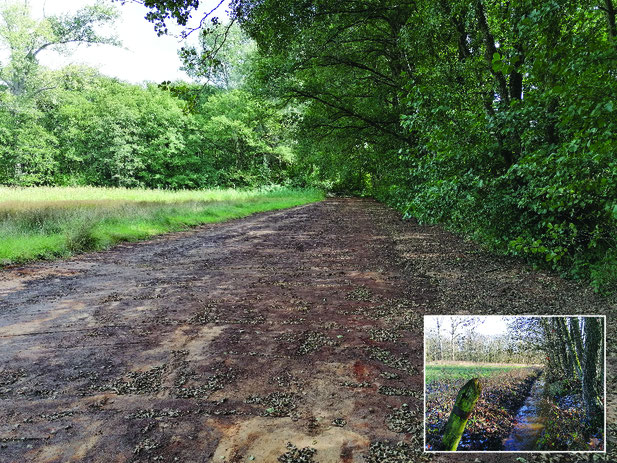 De Zompesloot die langs de Zompewei liep is nu gedempt en kan geen kwelwater meer afvangen. Inzet: voor het dempen.