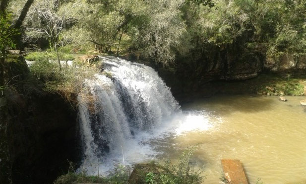 Salto Krysiuk