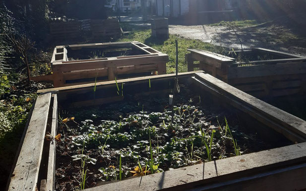 Selbstgebaute Hochbeete. (Foto: Ernährungsrat der Stadt Köln e. V.)