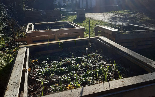 Selbstgebaute Hochbeete. (Foto: Ernährungsrat der Stadt Köln e. V.) 