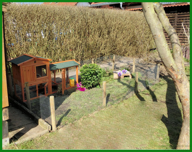 "Sommerresidenz" Teil 1 (noch im Frühjahr  aufgenommen)