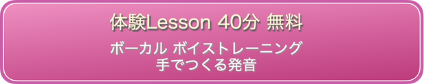 ボーカル　ボイストレーニング　手でつくる発音　英語の発音　体験レッスン　申し込み