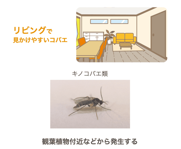 KINCHOウェブサイトより