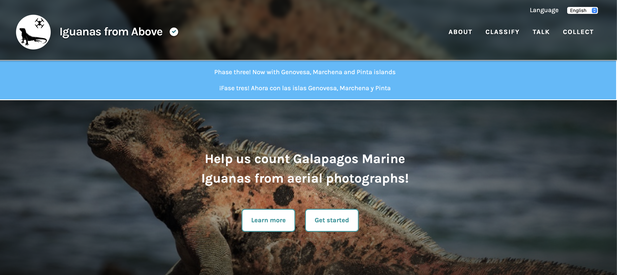 Start page: Iguanas from above