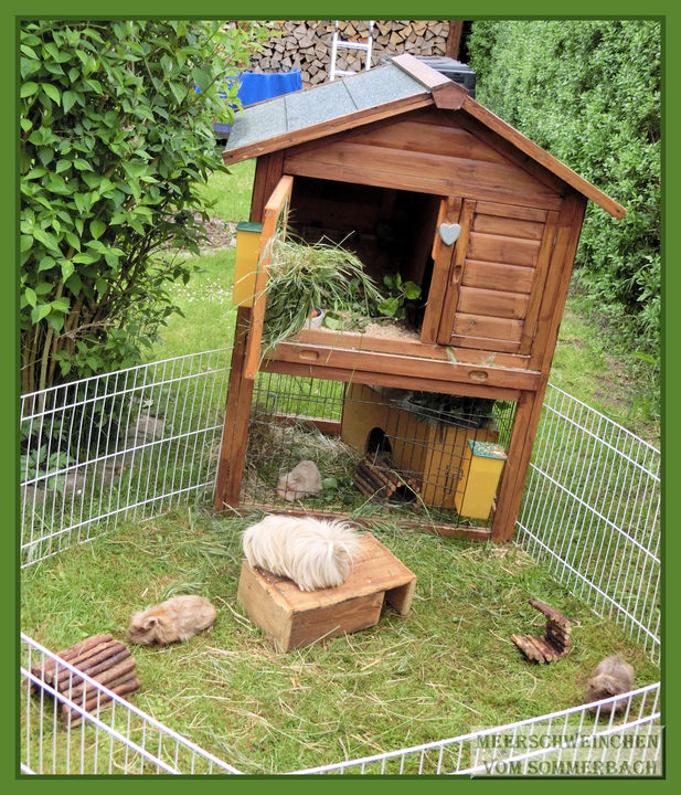 "Sommerresidenz" Teil 2 für eine kleine Böckchengruppe