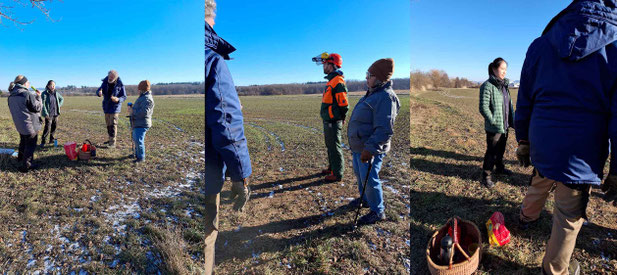 Brühlteiche/Lumpenbach Gehölzpflege Fotos:K-H Kuhn