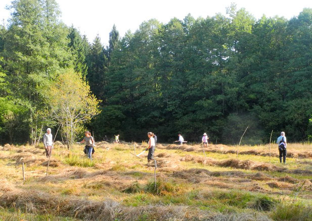 Abheuen der Barthwiese (c) Horst Guckelsberger