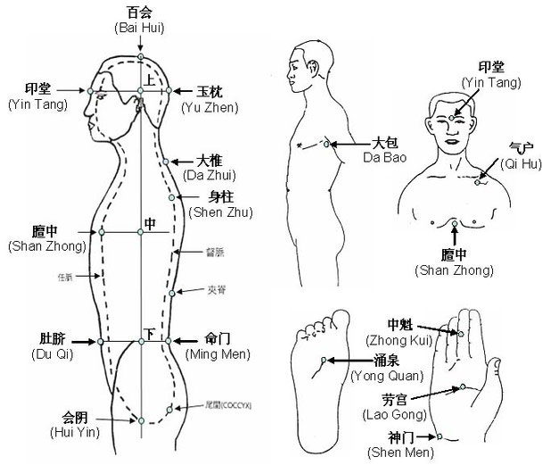 Dantian & Meridiansystem - Qigong Institut Schweiz