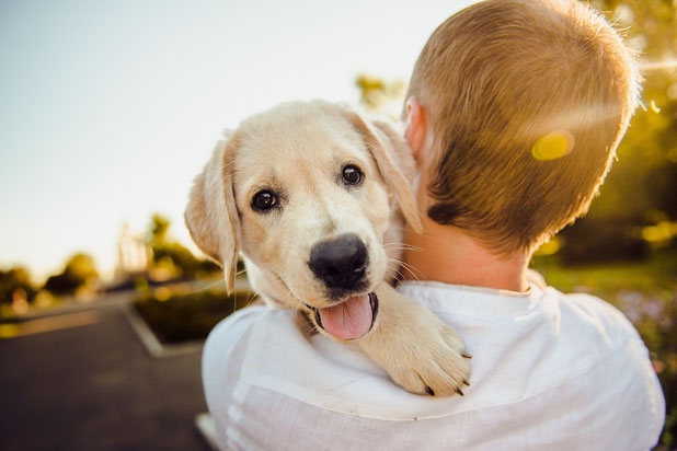 Hund_mit_Kind