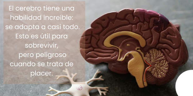 cerebro, dopamina, estrés