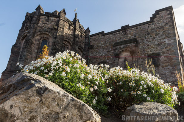 Edinburgh,Scottish,National,War,Memorial castle,schottland,old,town,herbst,oktober,tipps,sehenswürdigkeiten,schloss.