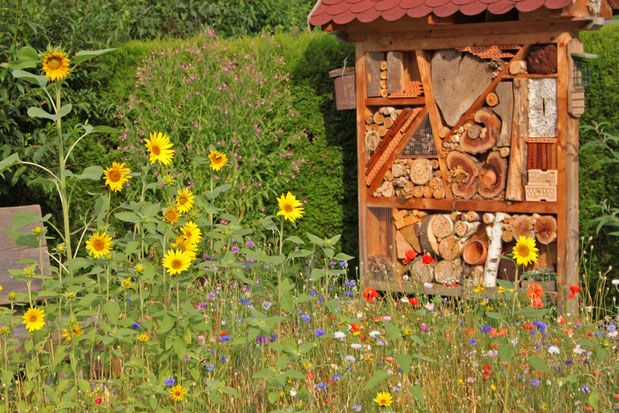 Foto: Insektenhotel im Garten mit Blumenwiese, Quelle: Willi Mayer
