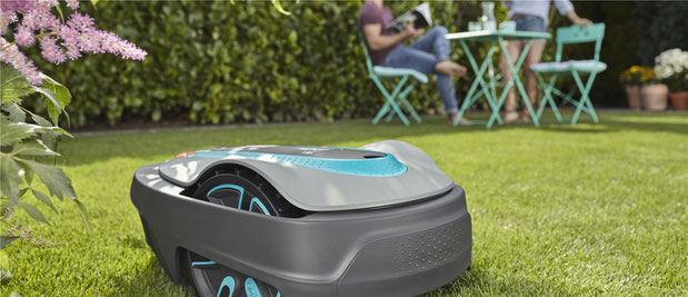 sileno city maairobot in tuin