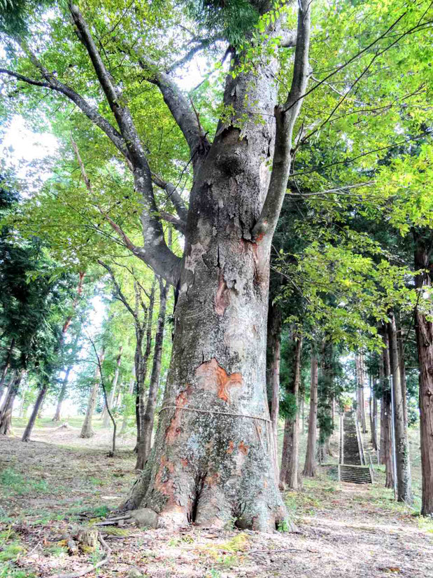 矢吹町 あゆり温泉