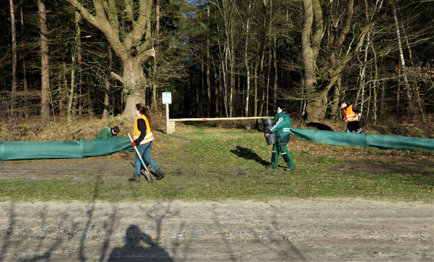 Ehrenamtliche bauen den Krötenzaun auf. Foto: Hans-Hermann Tiedemann