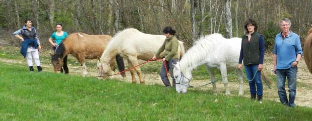 formation- equitherapeute-2016