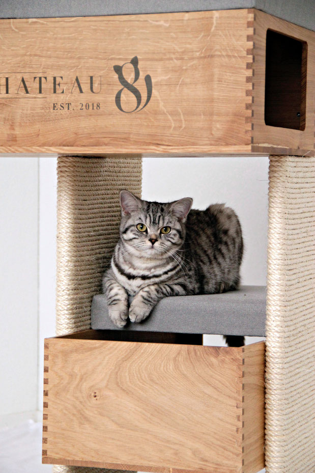 Katzenmöbel mit höchsten Ansprüchen an Design, Qualität und Nachhaltigkeit. Handgemachter Katzenbaum und Kratzbaum und aus Schweizer Eichenholz und naturbelassenem Sisal sowie Möbelstoff, ein modernes Wohnzimmer und schöne Einrichtung.
