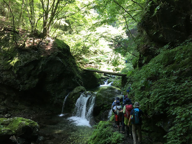 オサモミ整体院 登山 川苔山