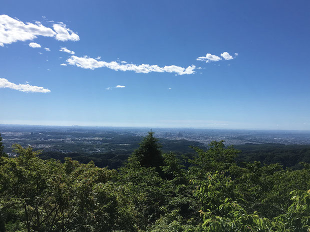 オサモミ整体院 トレイルラン 高尾山