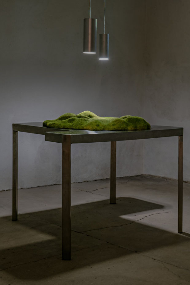 Terroir 2024 | Styropor, Polymergips, Sand, Pigmente, statisches Gras, Edelstahltisch, Beleuchtung | 130 × 105 × 90 cm 