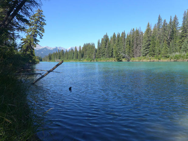 Kanada Alberta See