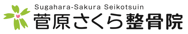 菅原さくら整骨院