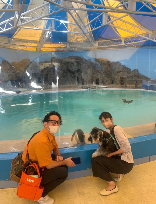 屋島水族館と犬