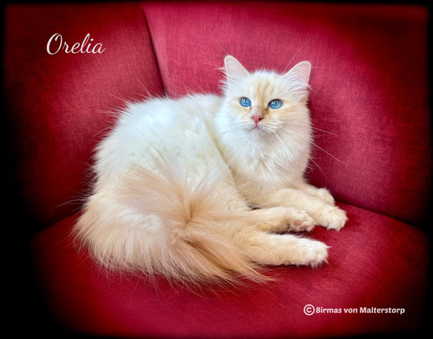 Orelia von Malterstorp