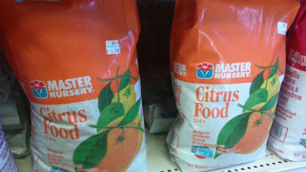 Master Nursery Citrus Food