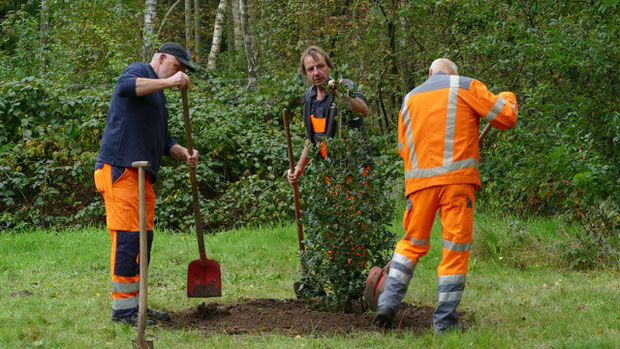 Die Mitarbeiter des Bauhofes, denen Bürgermeister Köppl in seinem Grußwort für ihre Unterstützung gedankt hatte, sorgten wie jedes Jahr für eine fachgerechte Vollendung der  Anpflanzung