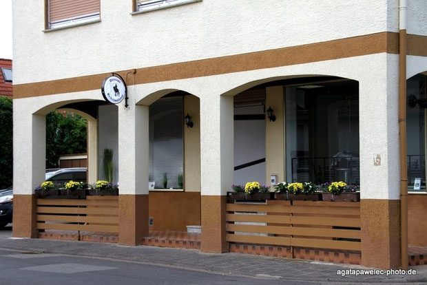 positive Erfahrung Reitsimulator Training in Langenselbold bei Anja Schade Dressur Reitsimulator