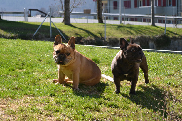 grand-papa Barney & maman Divinne