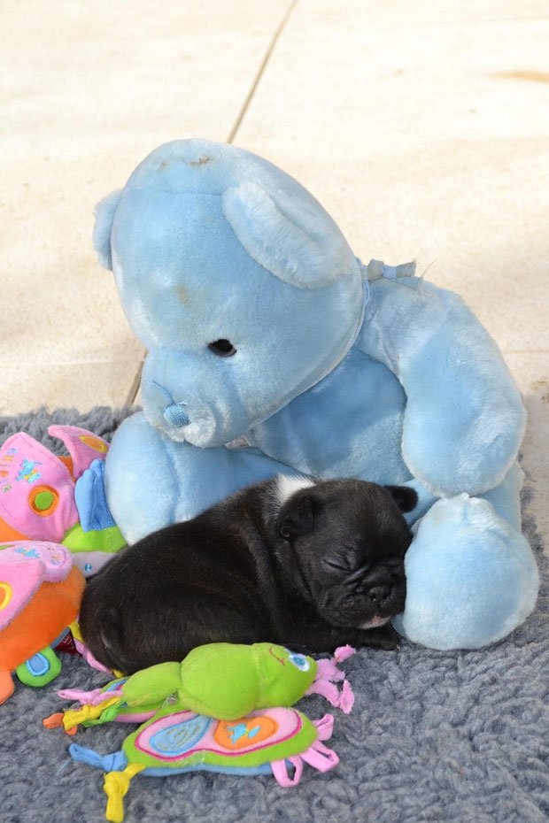sweet dreams