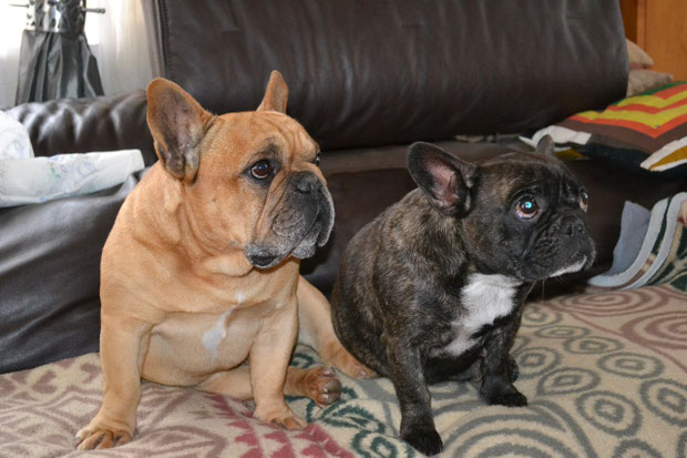 les heureux parents Barney & Aïdjan