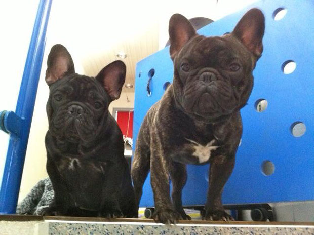 Fred & Horace