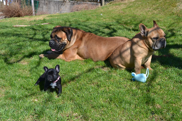 Kyrane avec Una & Barney