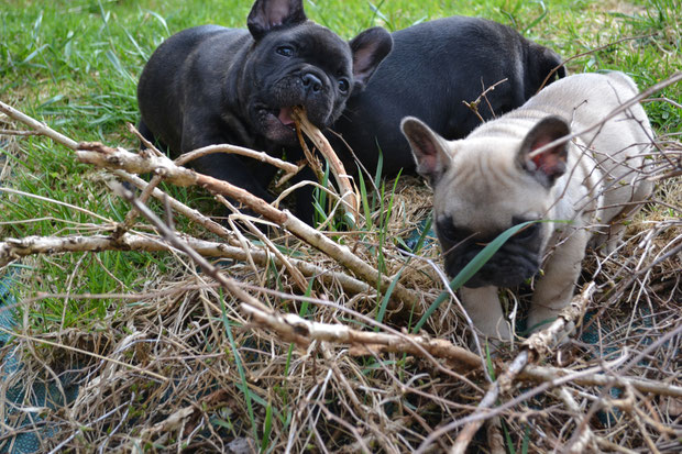 mes petits jardiniers :-)