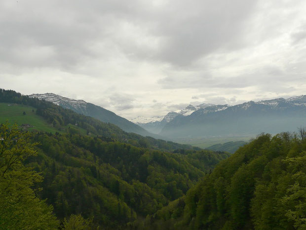 Aussicht von Rieden (im Vordergrund das Steinenbachtobel)