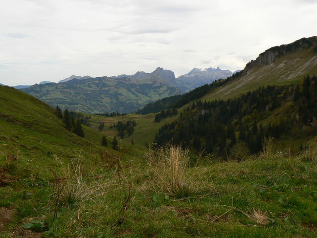 untere Frontalhütte