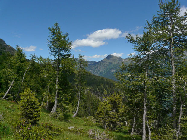 Von der Alp di Stabveder zur Alp di Rossiglion