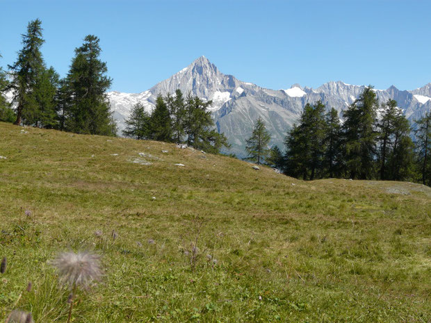 Blick von der Moosalp zum Bietschhorn