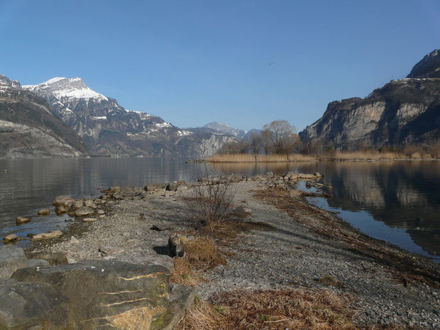 Urnersee mit Reussmündung